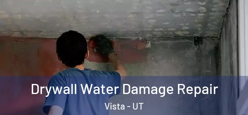  Drywall Water Damage Repair Vista - UT