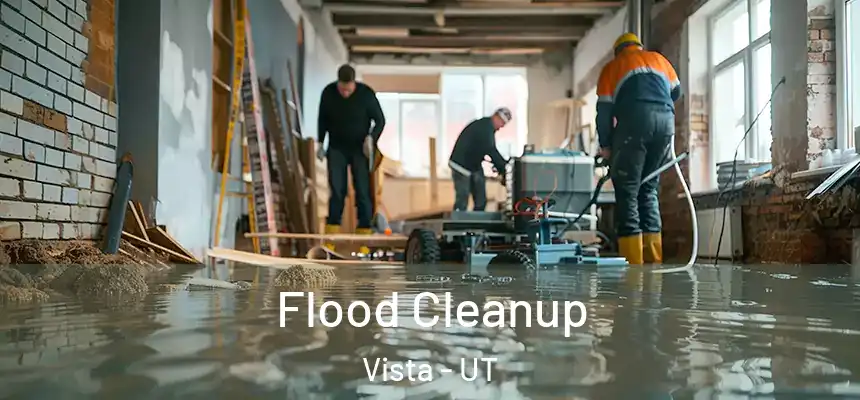  Flood Cleanup Vista - UT