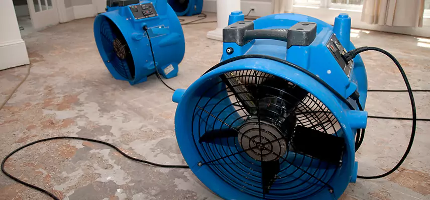 Sewage Removal Services in Vista