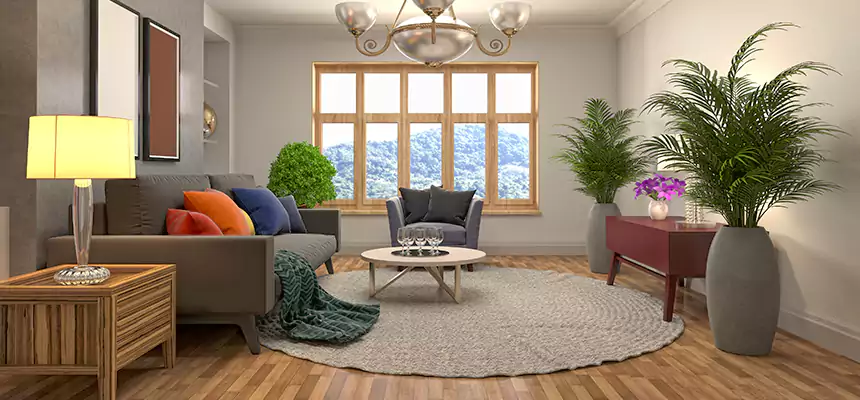 Local Water Mitigation in Vista