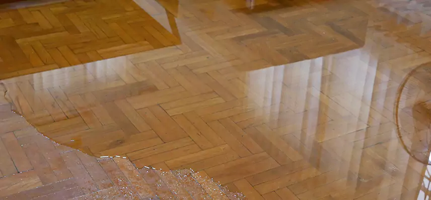 Laminate Wood Floor Water Damage Repair in Vista