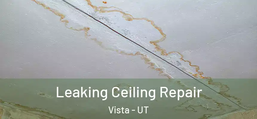  Leaking Ceiling Repair Vista - UT