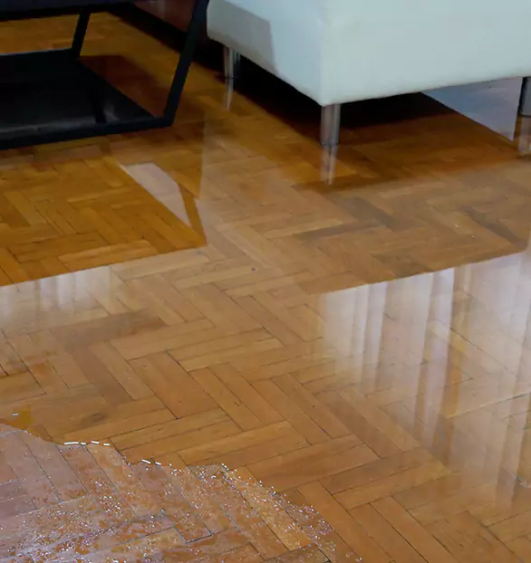 Trusted Emergency Water Restoration Company in Vista, UT