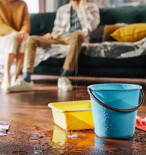 Trusted Water Remediation Company in Vista, UT