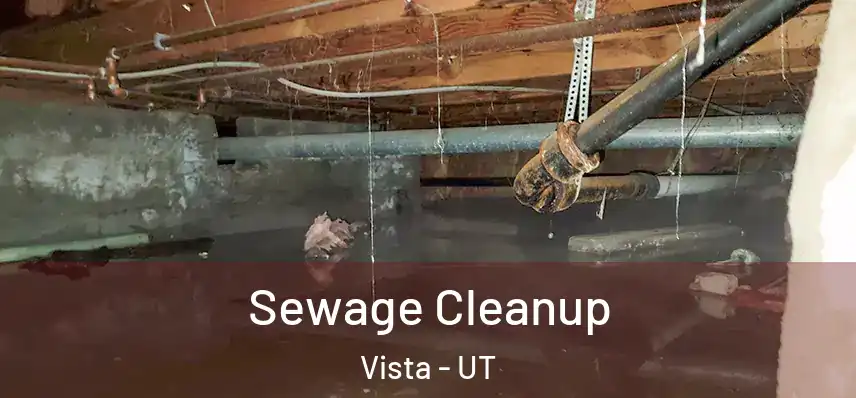  Sewage Cleanup Vista - UT