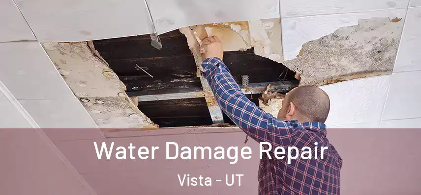  Water Damage Repair Vista - UT