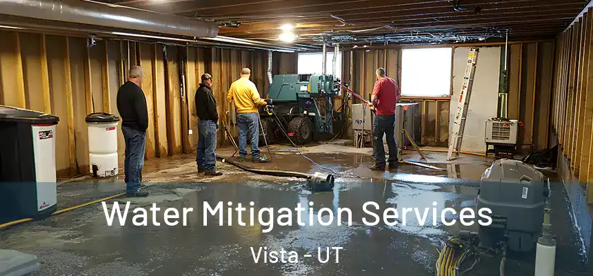  Water Mitigation Services Vista - UT