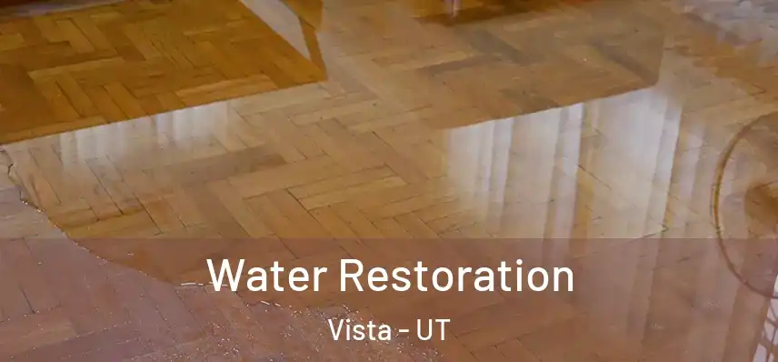  Water Restoration Vista - UT